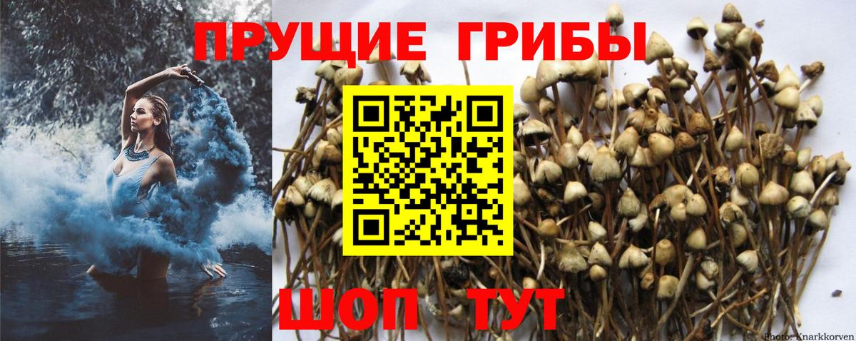 Галлюциногенные грибы мицелий  Вход с VPN  Псилоцибиновые грибы мухоморы  Москва 