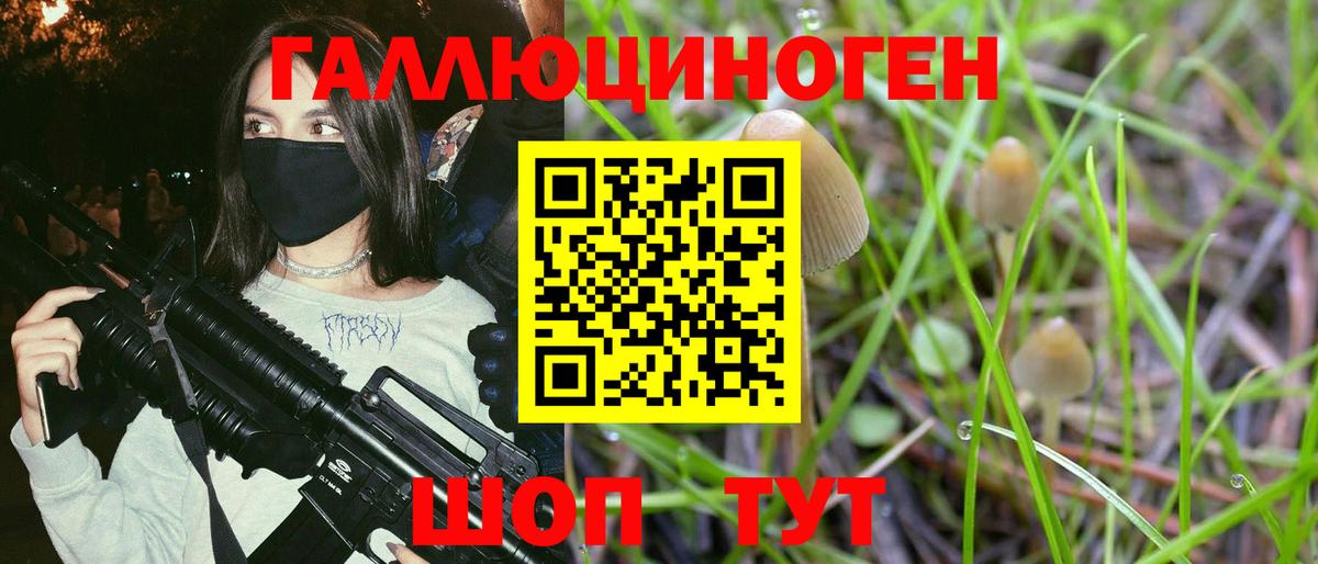 Галлюциногенные грибы MAGIC MUSHROOMS Москва